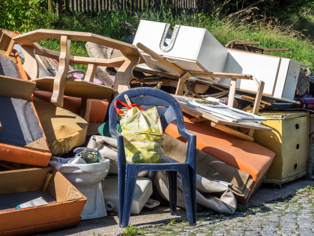 Best Electronics Removal Services  in Safety Harbor, FL
