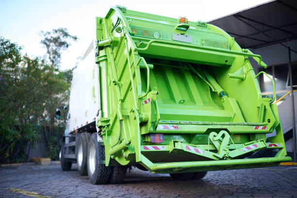 Best Junk Hauling Services  in Safety Harbor, FL